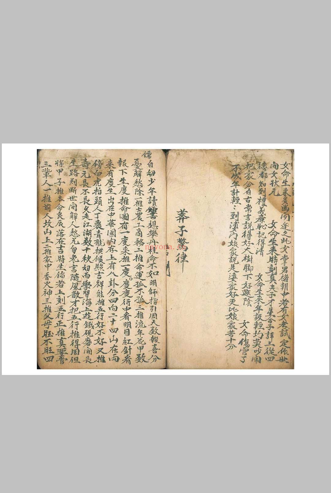 《命理律条》