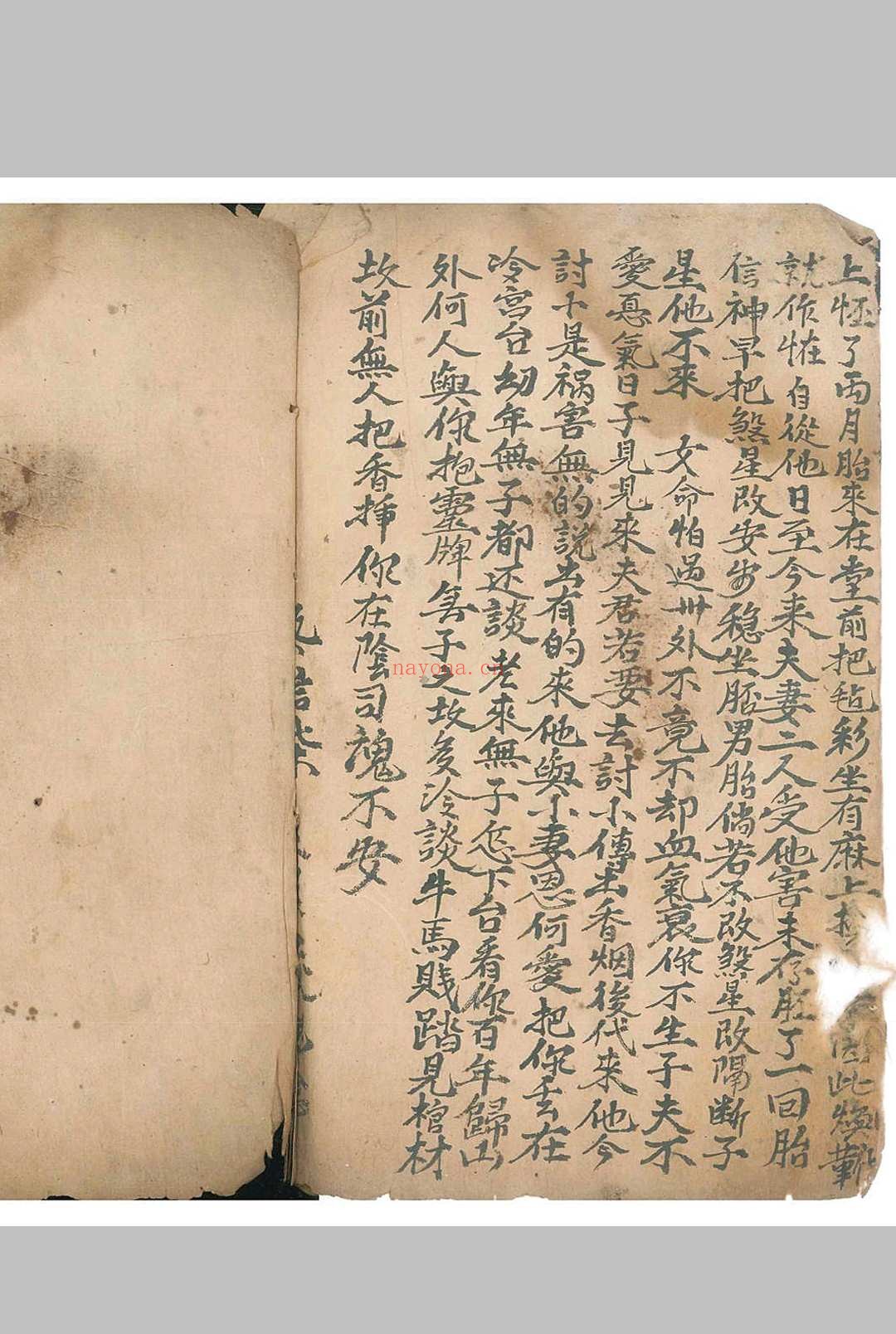 《命理律条》