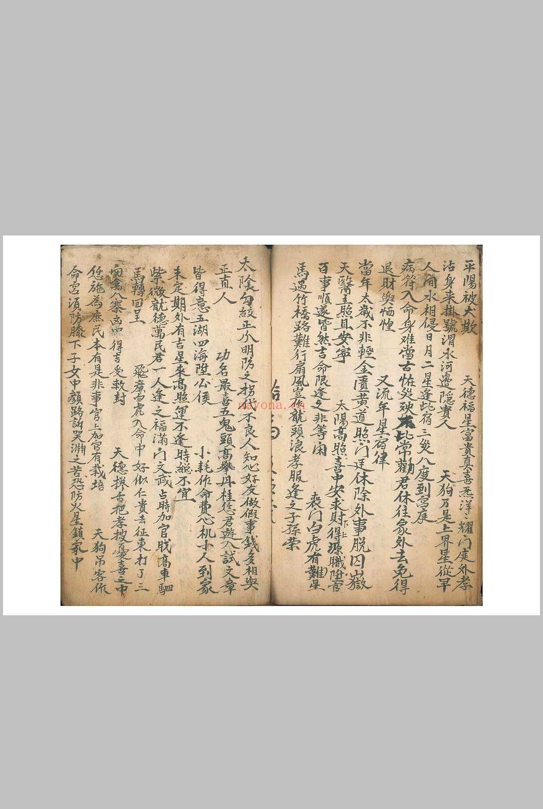 《命理律条》