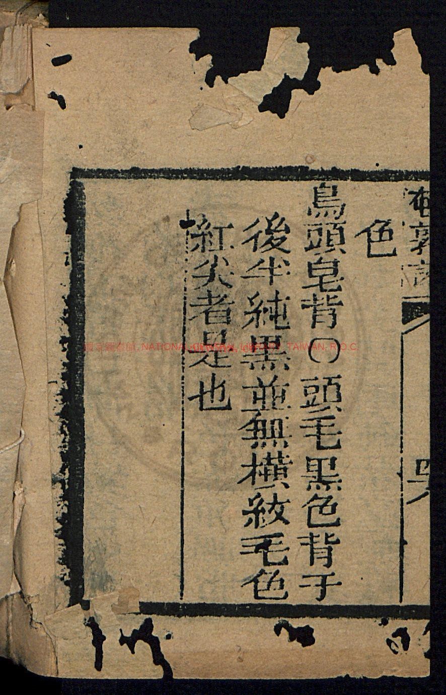 鹌鹑论1卷_金文锦_刻本