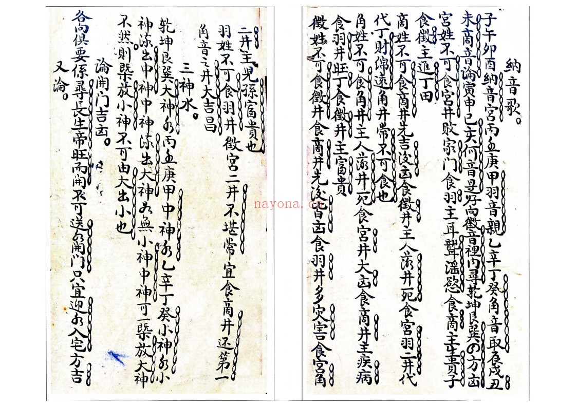 十二天干地支向论
