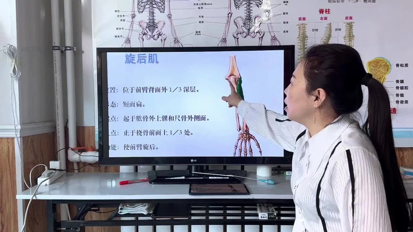 《蒙医包氏正骨3套合集 腰间盘突 颈椎疼痛 神经卡压疗法