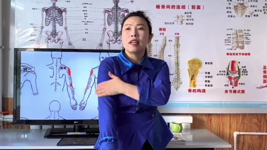 《蒙医包氏正骨3套合集 腰间盘突 颈椎疼痛 神经卡压疗法