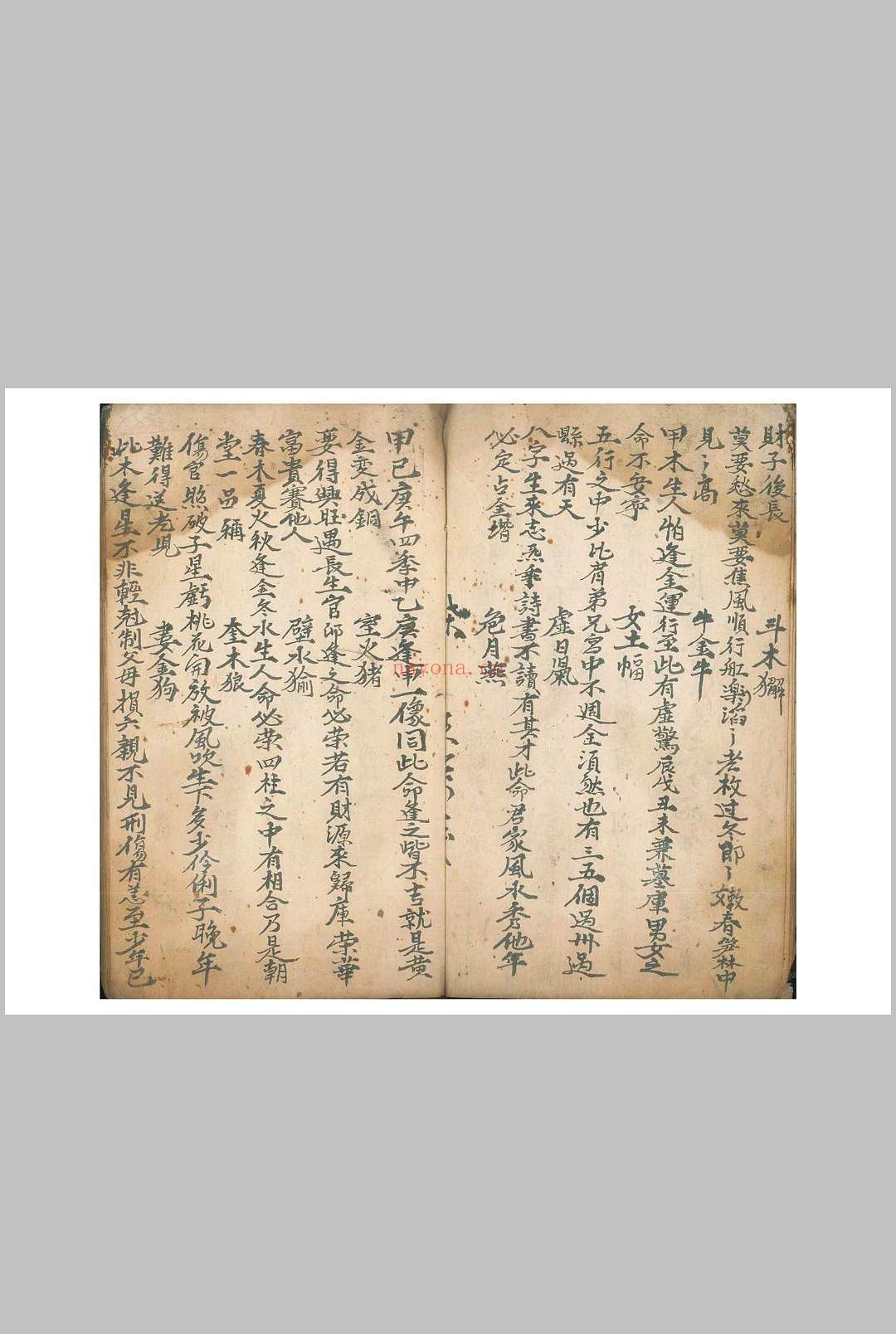 《命理律条》