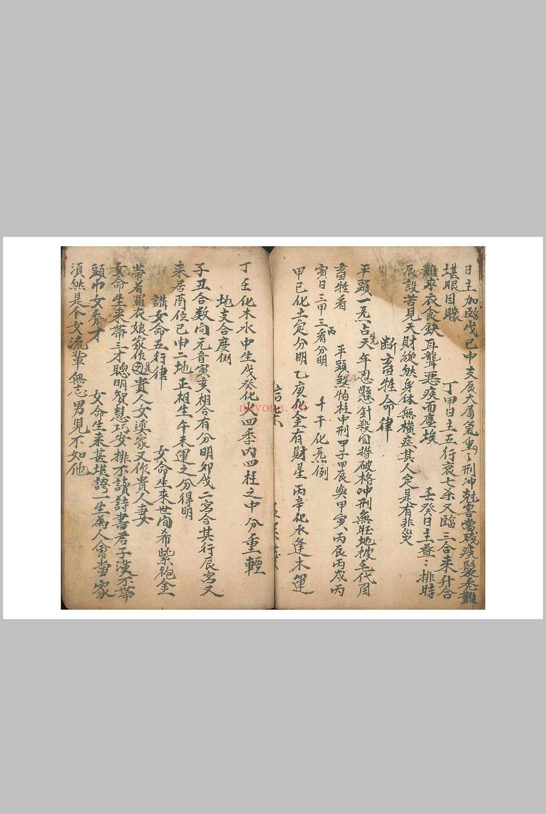 《命理律条》