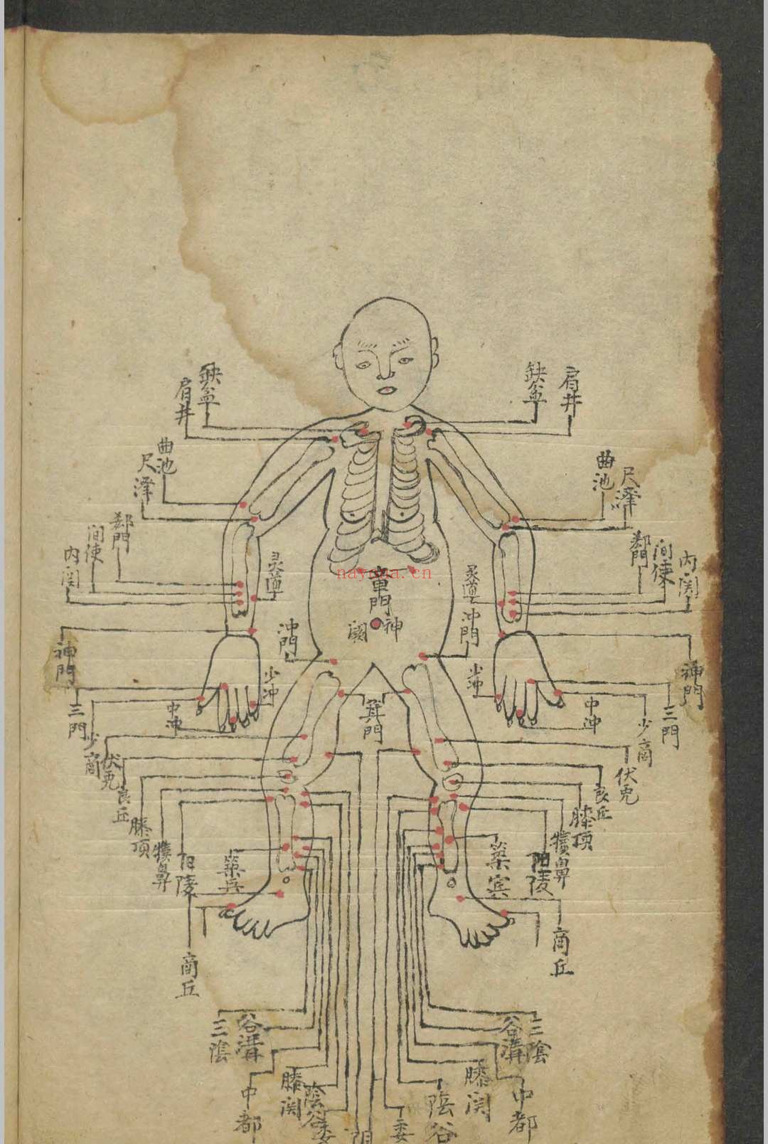 集验良方 , 1864