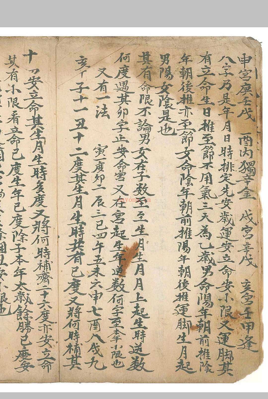 《命理律条》