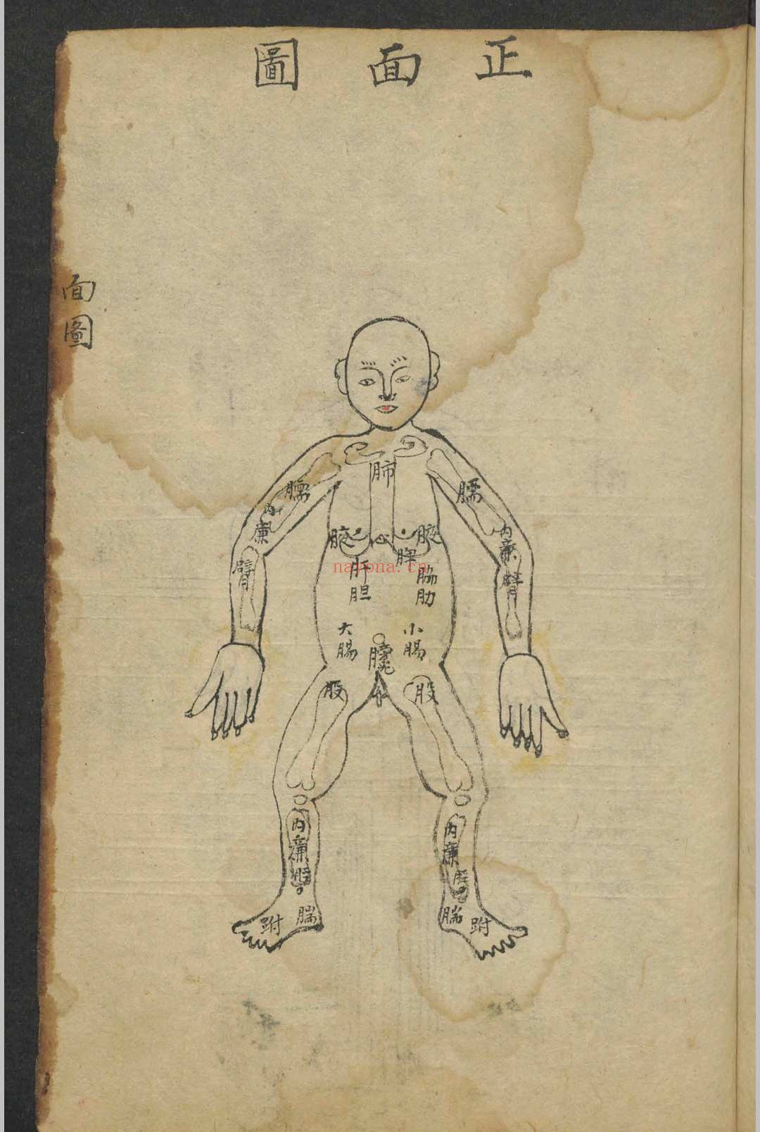 集验良方 , 1864