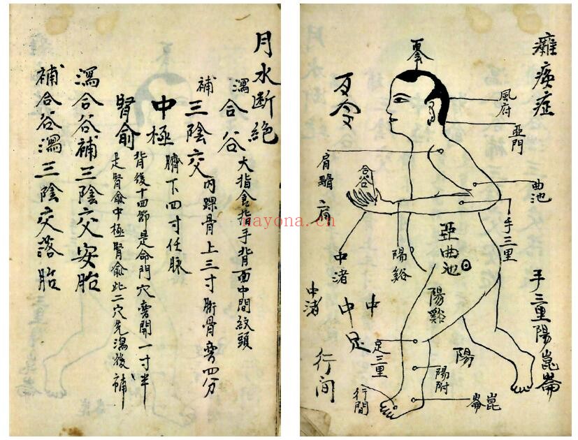 《道医灵旨针邪秘要》42页双页版
