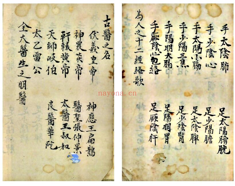 《道医灵旨针邪秘要》42页双页版