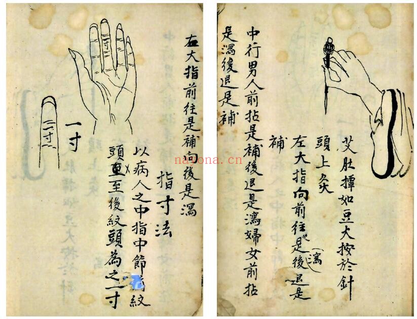 《道医灵旨针邪秘要》42页双页版