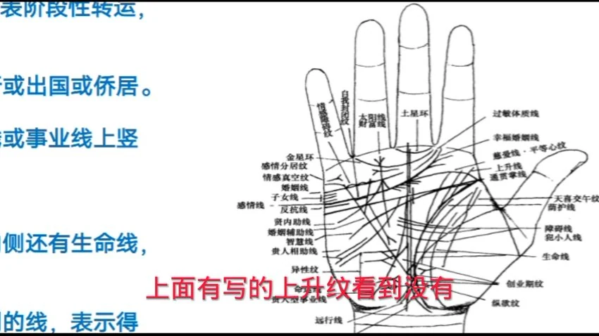 《天龙易学零基础看手相》视频31集