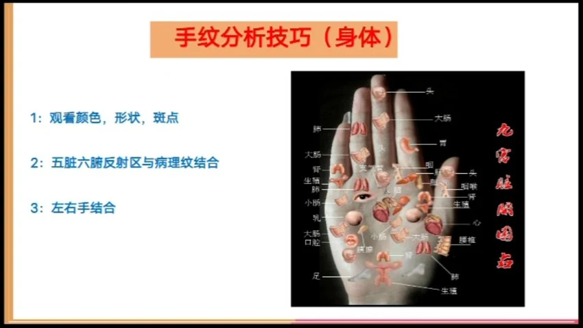 《天龙易学零基础看手相》视频31集