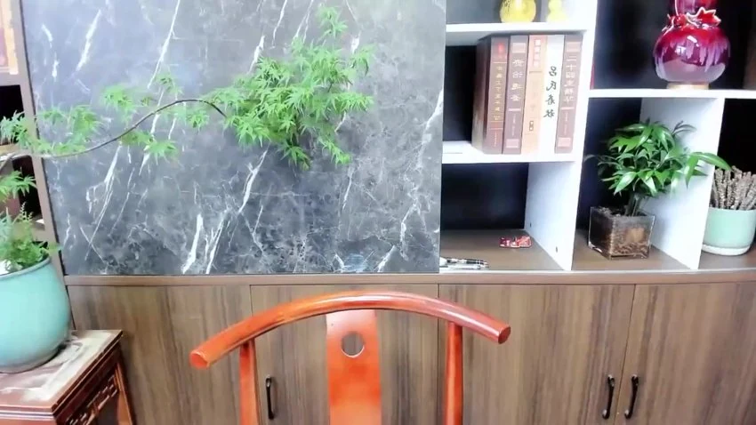 邵滢楹《人生轨迹四柱八字》视频8集