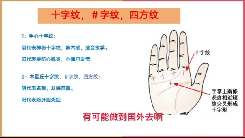 《天龙易学零基础看手相》视频31集