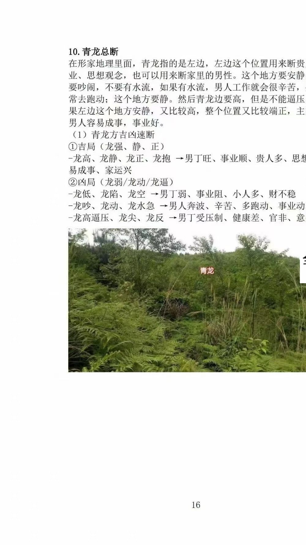 古传峦头心法《四兽峦头铁口断》看地选址-阳宅布局-断应吉凶 197页