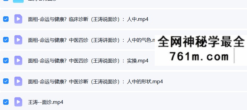 王涛面诊中医视频音频大合集自学零基础从入门到精通全套学习教程