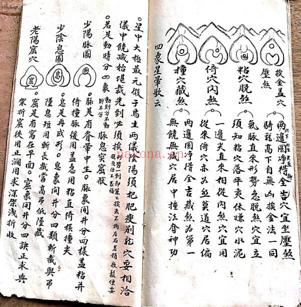 风水古籍《杨公万金改法搜坟经》60页双页版