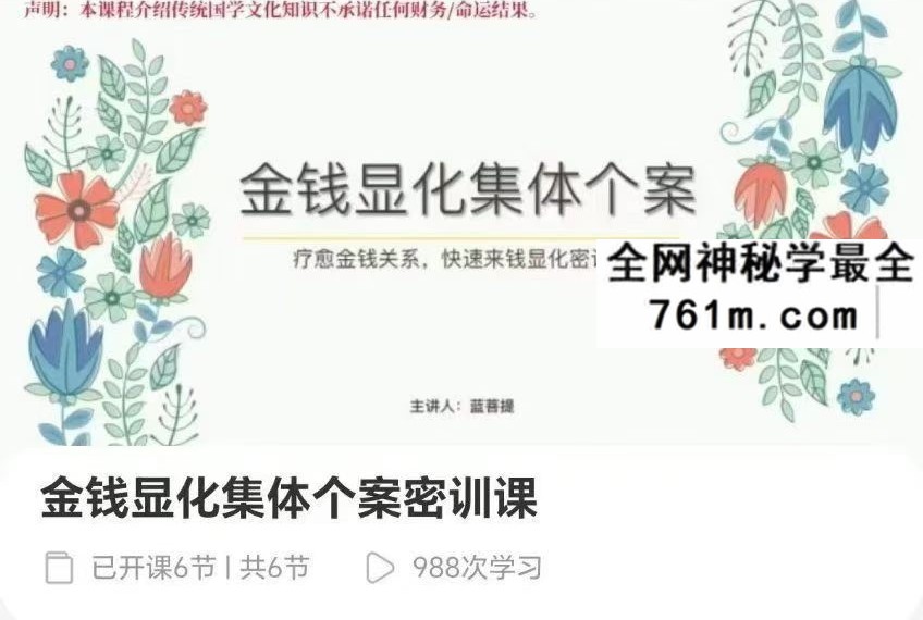 蓝菩提金钱显化集体个案密训课6集