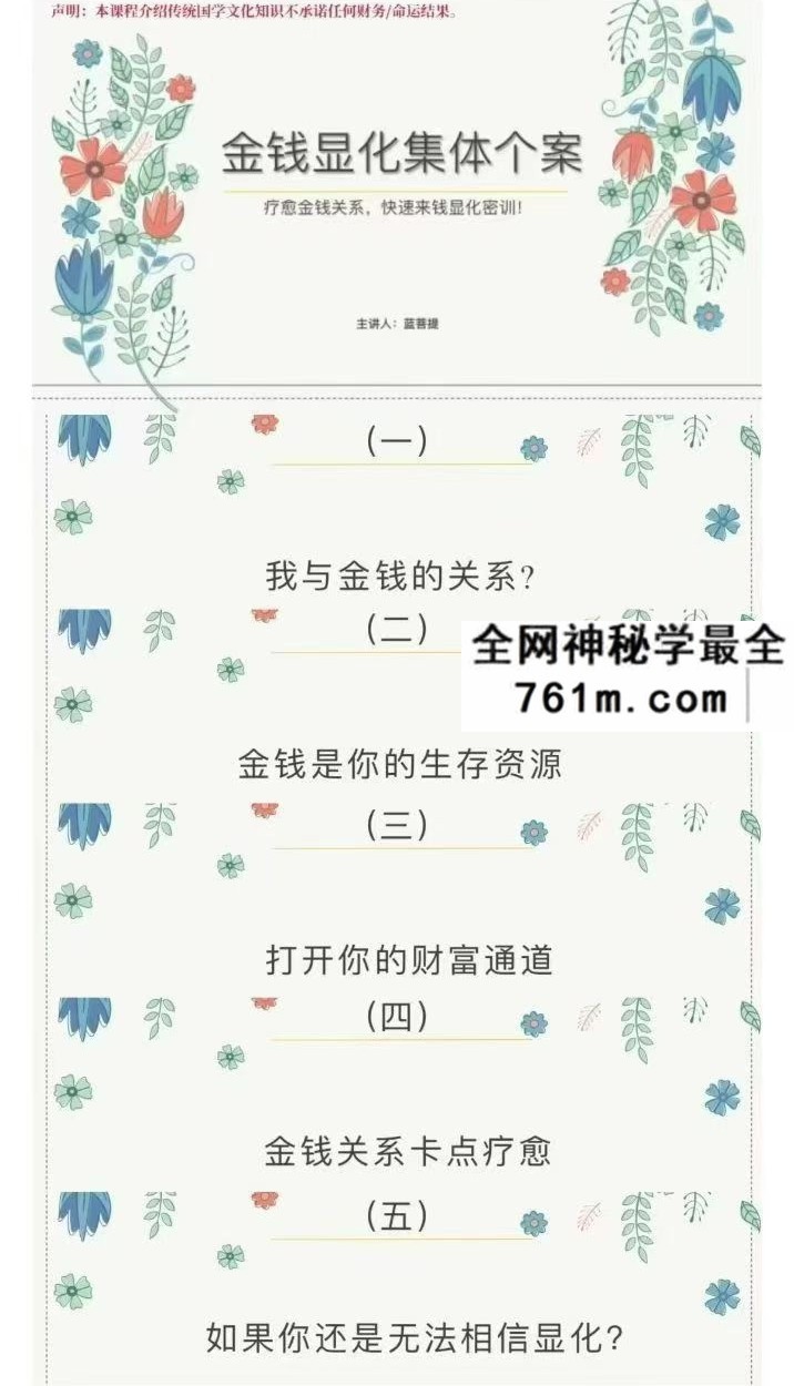 蓝菩提金钱显化集体个案密训课6集