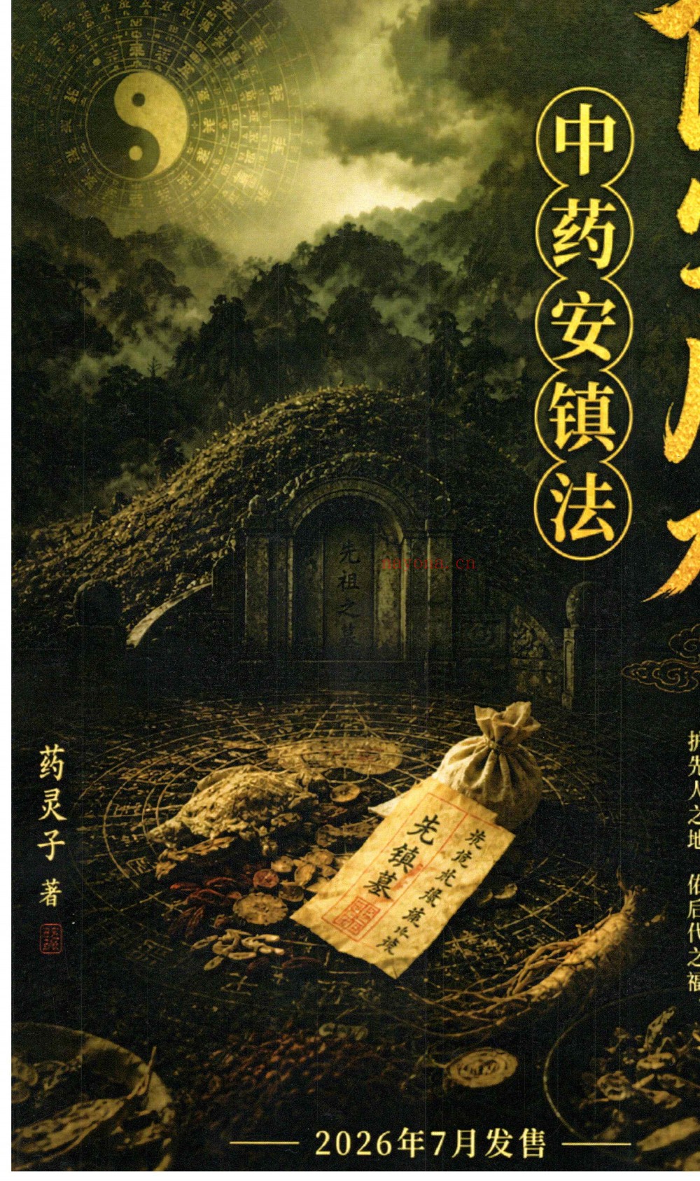 阴宅风水中药安镇法177页电子版 ：