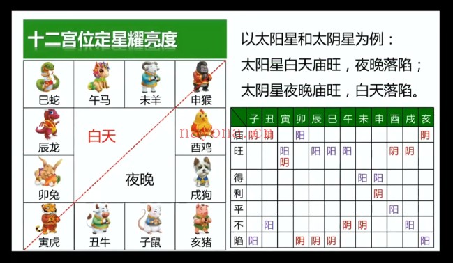 朱彦泽《紫微斗数系统课》三合紫微斗数 视频课23集