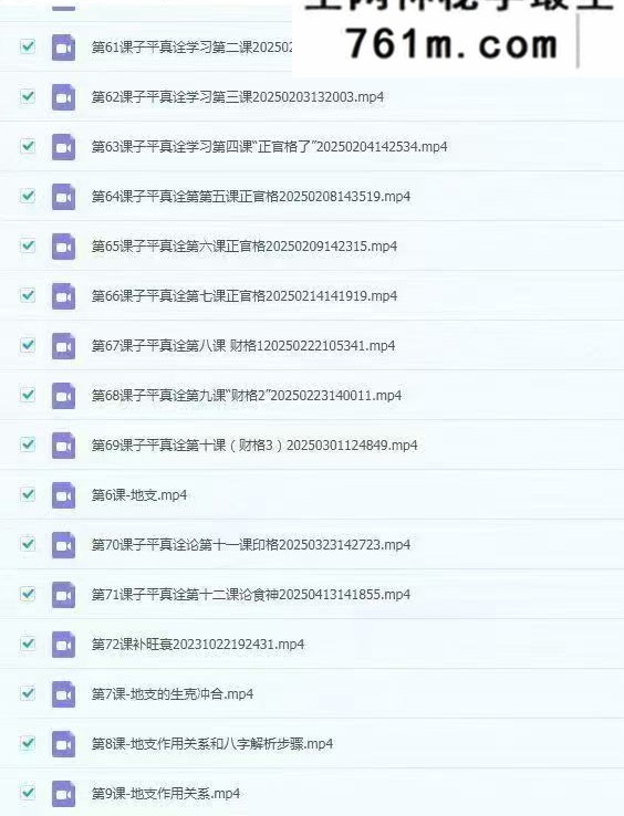 酉叔子平职业班课全套视频73集 148小时左右+课件
