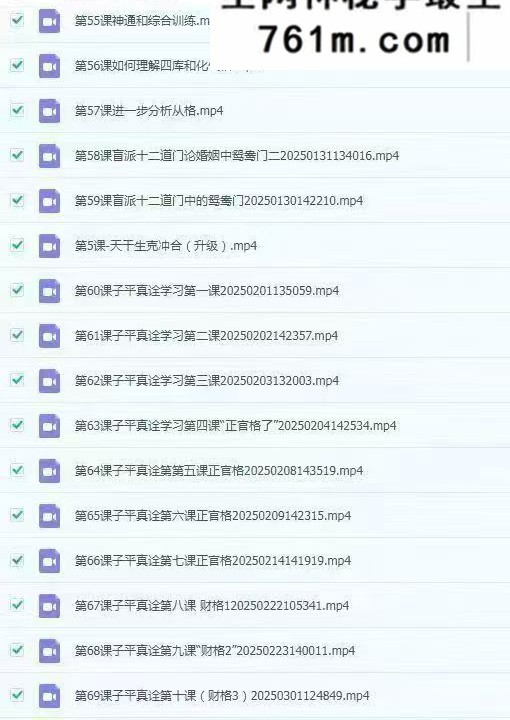 酉叔子平职业班课全套视频73集 148小时左右+课件