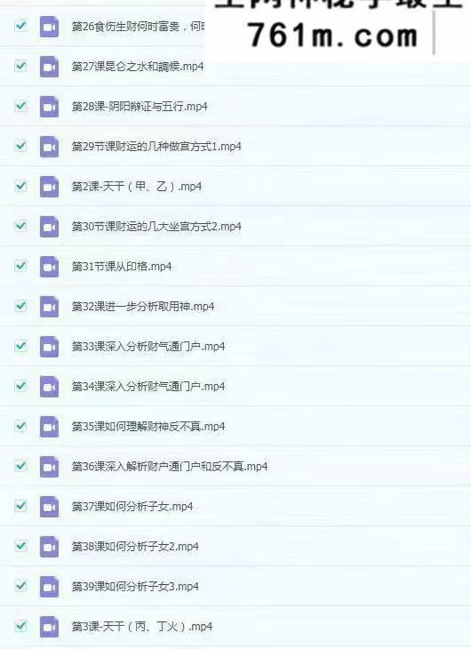 酉叔子平职业班课全套视频73集 148小时左右+课件