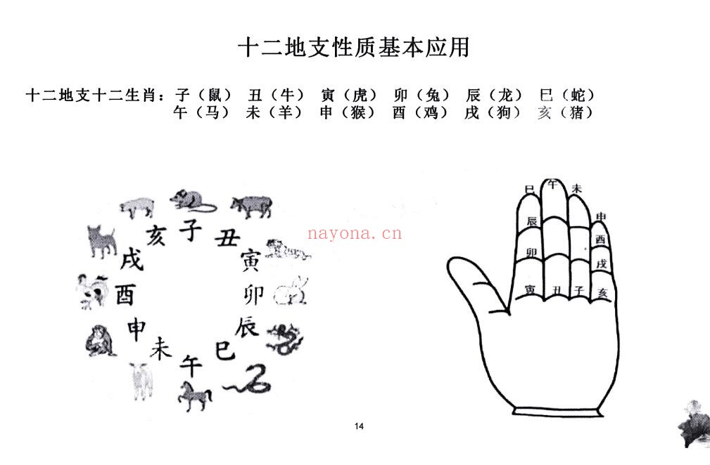 《兴国三僚曾公文化研究会研学班教材》228页