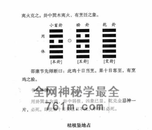 铁书生 梅花易数铁口断修正版 上下册合集PDF电子书920页