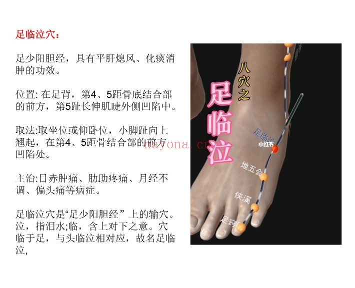 道家六元神针学习笔记55页PDF 道医针法