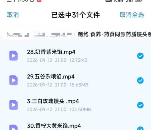 鲍鲍 食养·药食同源药膳馒头系列课程（30节课）