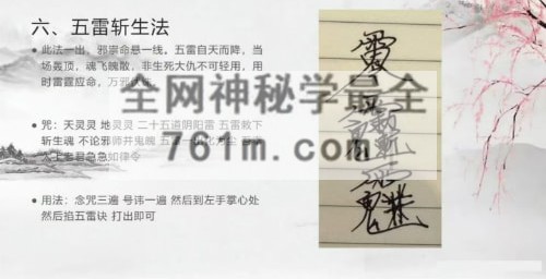 道源 增灵摄运一宗文档8页