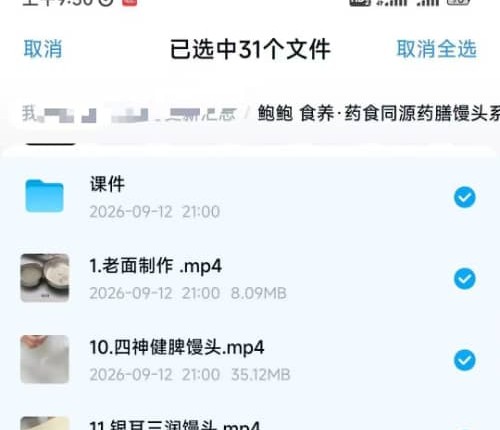 鲍鲍 食养·药食同源药膳馒头系列课程（30节课）