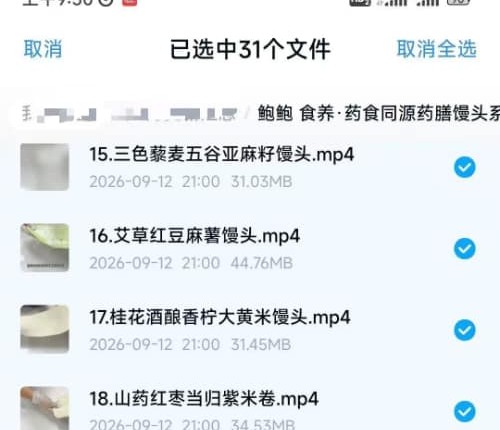 鲍鲍 食养·药食同源药膳馒头系列课程（30节课）