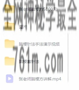 张老师脑梗方价值5000元，视频课件齐全