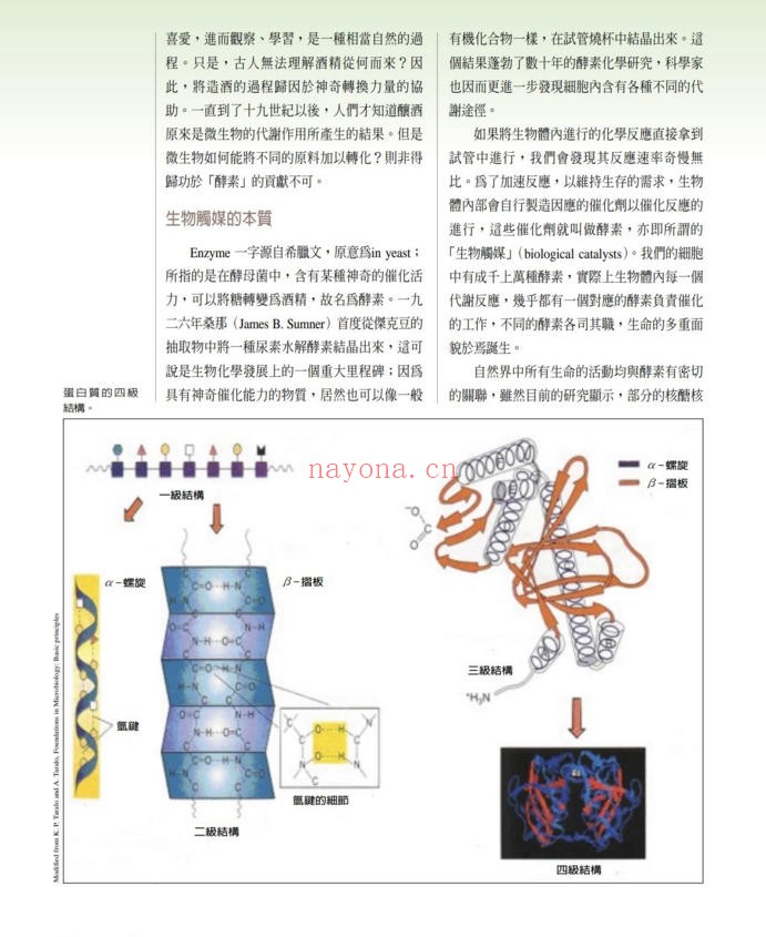 生化反应的催化剂-酵素（道教书籍大全）