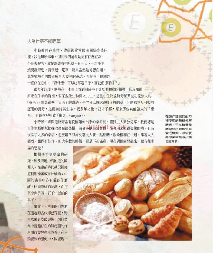 生化反应的催化剂-酵素（道教书籍大全）