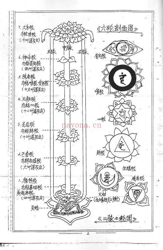 莲花大法（道教书籍大全）