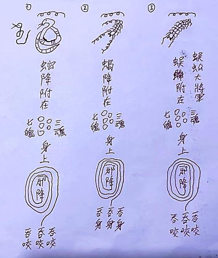 秘传绝学课程原始资料图片第9