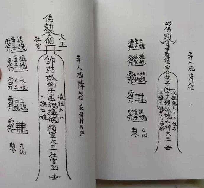 秘传绝学课程原始资料图片第2