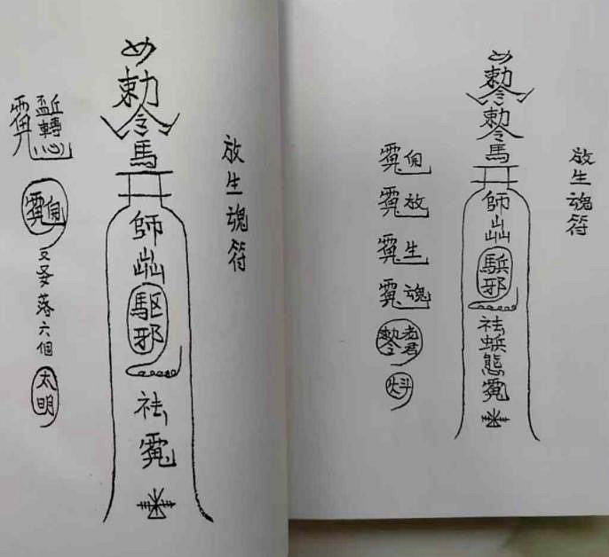 秘传绝学课程原始资料图片第3