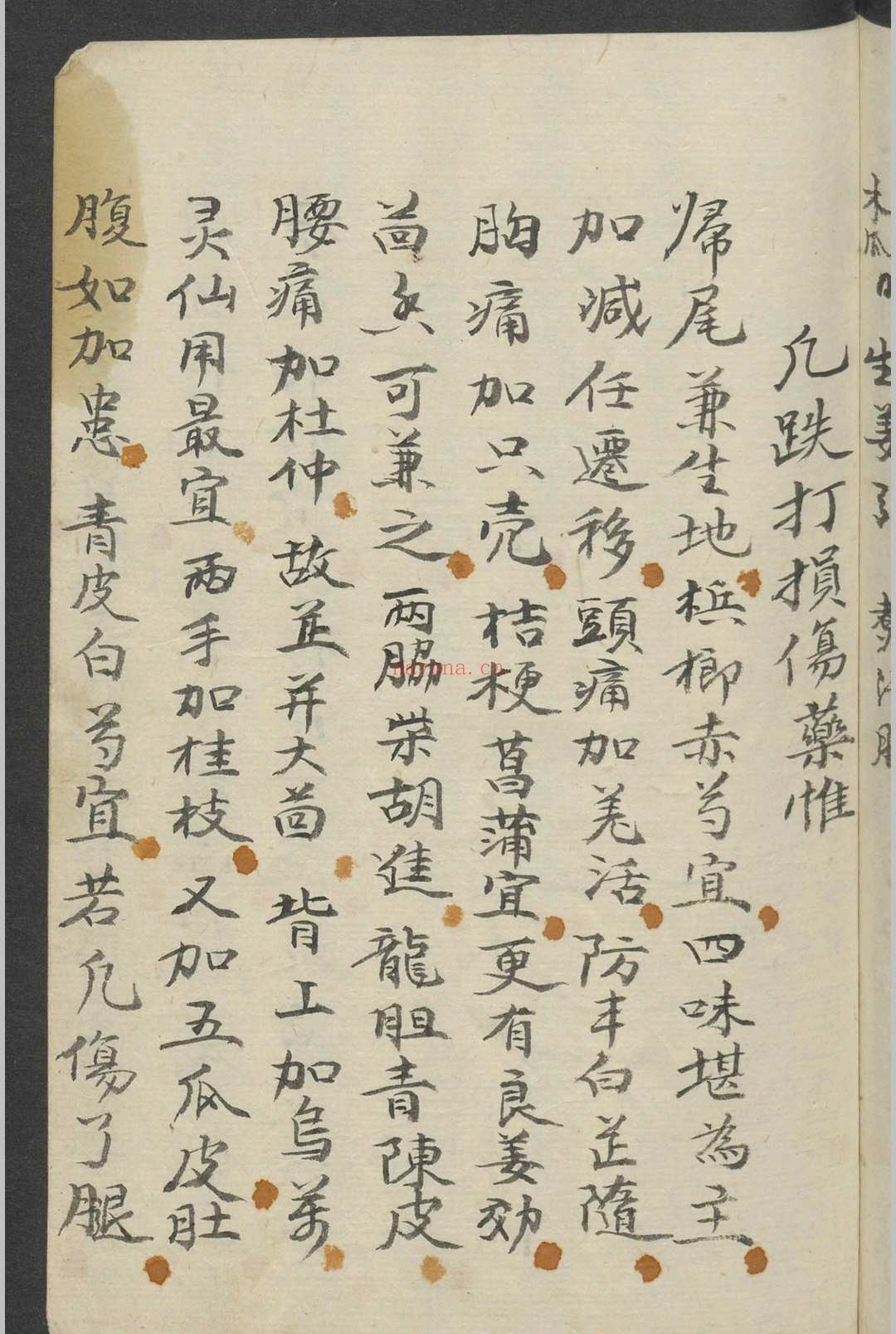 跌打损伤 1900