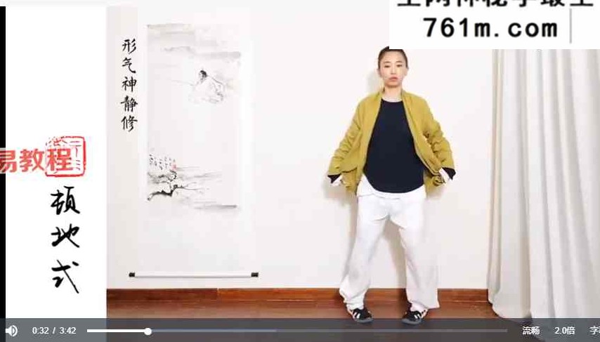 强肺养元·防疫运动处方9式【精讲】 形气神静修堂 视频14集