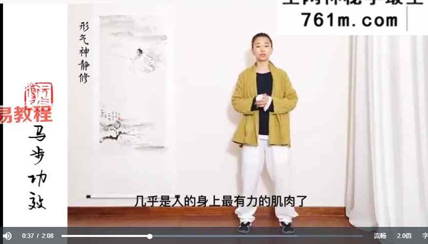 强肺养元·防疫运动处方9式【精讲】 形气神静修堂 视频14集