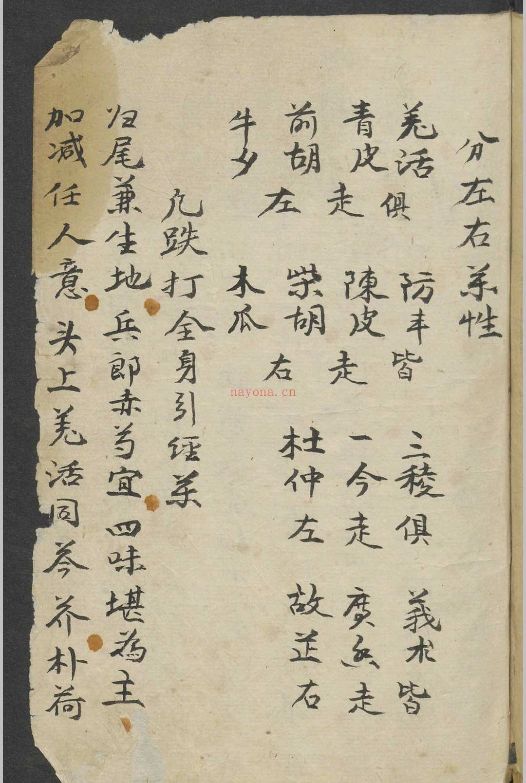 跌打损伤 1900