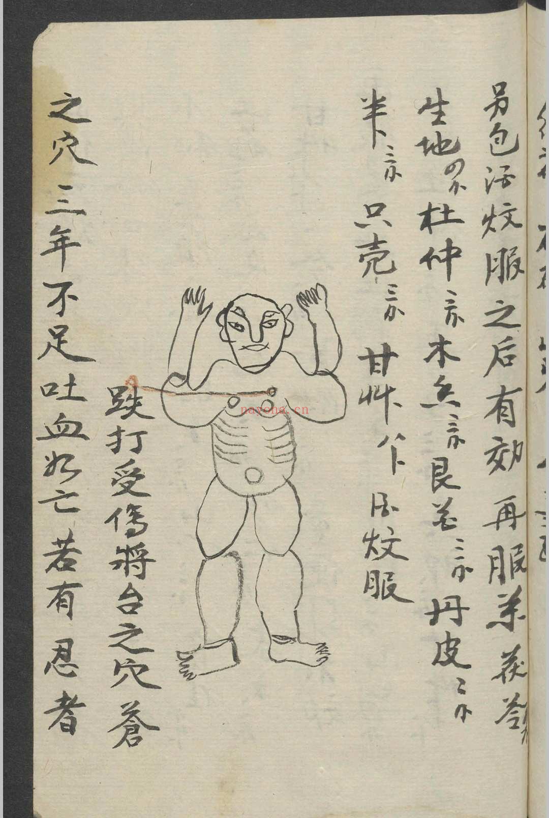 跌打损伤 1900