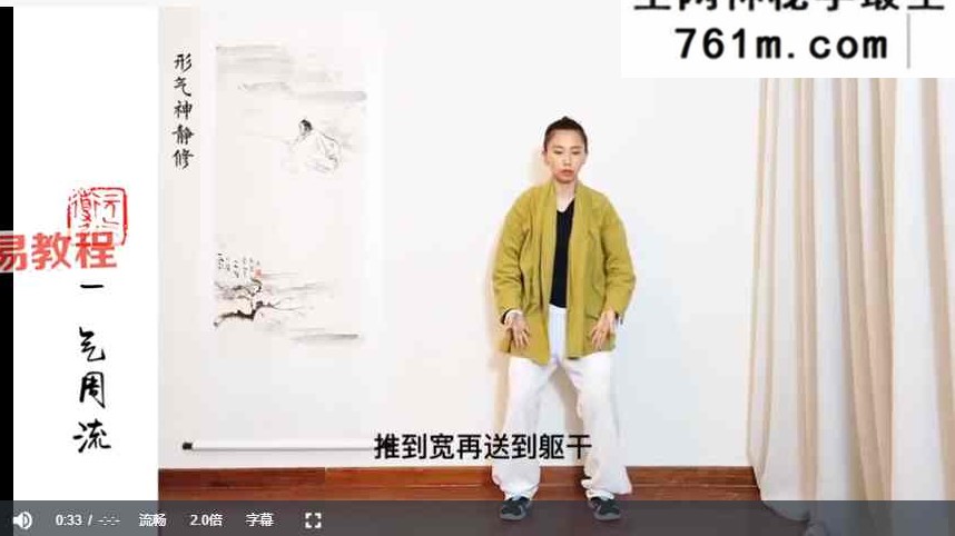 强肺养元·防疫运动处方9式【精讲】 形气神静修堂 视频14集