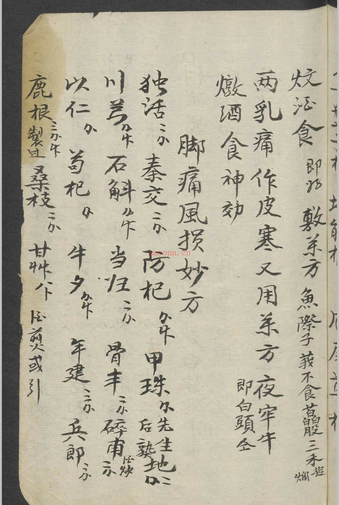 跌打损伤 1900